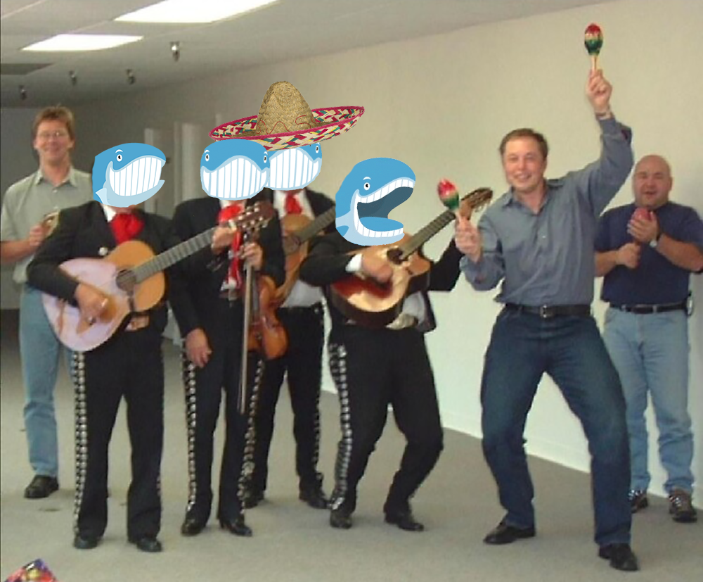 Elon Musk terminates Twitter bid