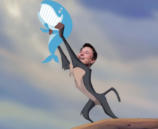 Twitter sues Elon Musk for Twitter deal